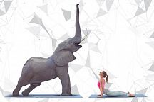 Mастер-класс по йоге со слонами